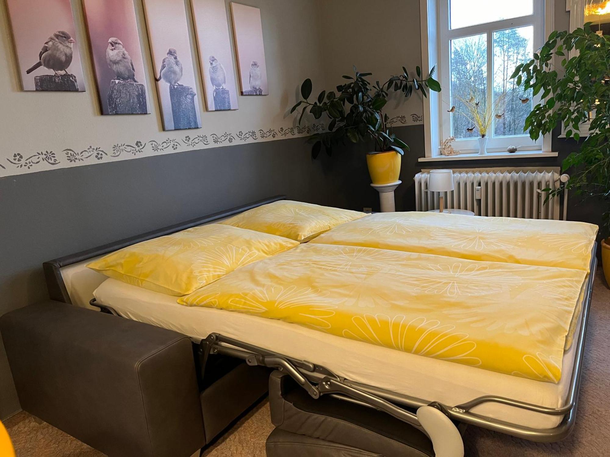Der Falkenhorst Bad Sachsa Bagian luar foto